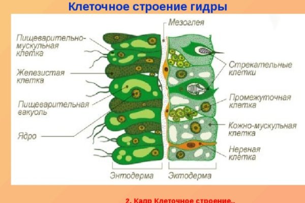 Кракен современный даркнет маркетплейс